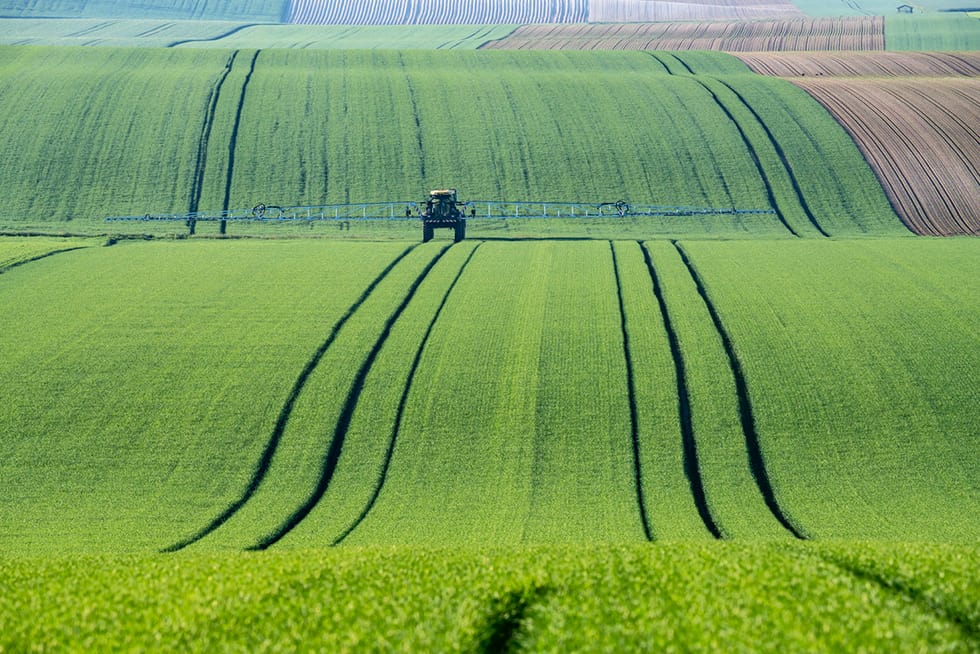 Verslo istorija 2021 kovo 3